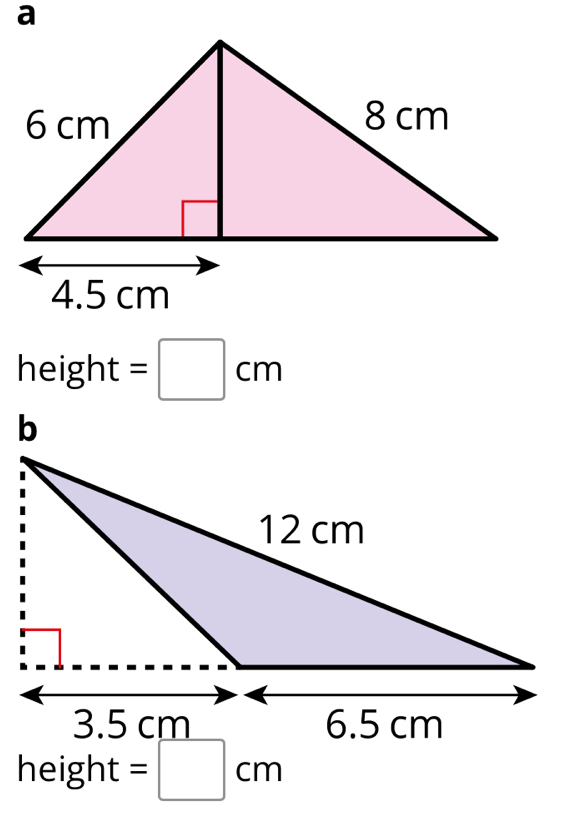 height =□ cm
height =□ cm