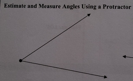 Estimate and Measure Angles Using a Protractor