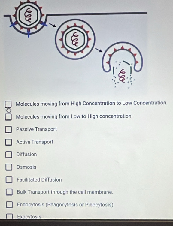 Molecules moving from High Concentration to Low Concentration.
Molecules moving from Low to High concentration.
Passive Transport
Active Transport
Diffusion
Osmosis
Facilitated Diffusion
Bulk Transport through the cell membrane.
Endocytosis (Phagocytosis or Pinocytosis)
Exocytosis