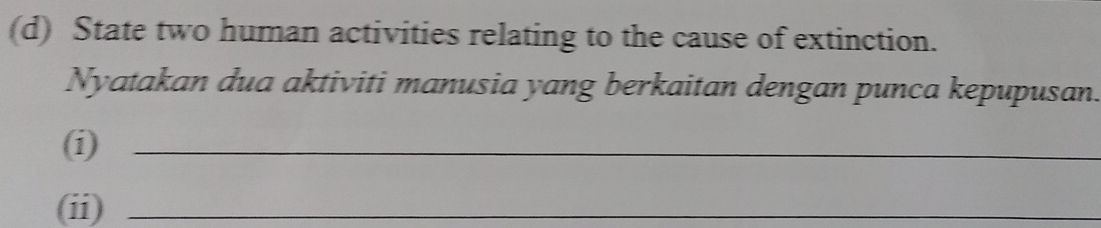 State two human activities relating to the cause of extinction. 
Nyatakan dua aktiviti manusia yang berkaitan dengan punca kepupusan. 
(i)_ 
(ii)_