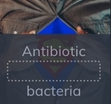 Antibiotic 
bacteria