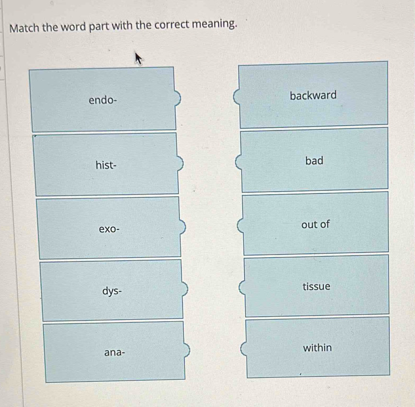 Match the word part with the correct meaning.
endo- backward
hist- bad
exo- out of
dys-
tissue
within
ana-