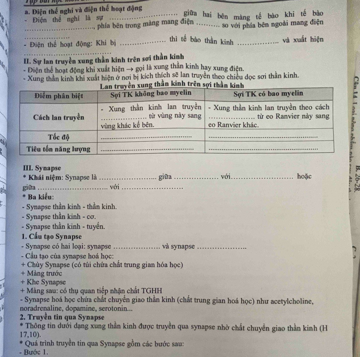 Điện thế nghỉ và điện thế hoạt động
- Điện thế nghỉ là sự _giữa hai bên màng tế bào khi tế bào
_. phía bên trong màng mang điện .......... so với phía bên ngoài mang điện
thì tế bào thần kinh
- Điện thế hoạt động: Khi bị __và xuất hiện
_
II. Sự lan truyền xung thần kinh trên sơi thần kinh
- Điện thể hoạt động khi xuất hiện → gọi là xung thần kinh hay xung điện.
Xung thần kinh khi xuất hiện ở nơi bị kích thích sẽ lan truyền theo chiều dọc sơi thần kinh.
hần kinh t
C
III. Synapse 
Khái niệm: Synapse là_ giữa_ với_ hoặc
giữa _với_
* Ba kiểu:
- Synapse thần kinh - thần kinh.
- Synapse thần kinh - cơ.
- Synapse thần kinh - tuyến.
1. Cấu tạo Synapse
- Synapse có hai loại: synapse _và synapse_
- Cấu tạo của synapse hoá học:
+ Chùy Synapse (có túi chứa chất trung gian hóa học)
+ Màng trước
+ Khe Synapse
+ Màng sau: có thụ quan tiếp nhận chất TGHH
- Synapse hoá học chứa chất chuyển giao thần kinh (chất trung gian hoá học) như acetylcholine,
noradrenaline, dopamine, serotonin...
2. Truyền tin qua Synapse
P Thông tin dưới dạng xung thần kinh được truyền qua synapse nhờ chất chuyền giao thần kinh (H
17, 10).
* Quá trình truyền tin qua Synapse gồm các bước sau:
- Bước 1.