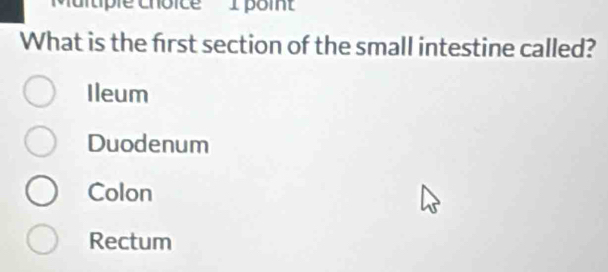 ''Multiple choice' 1 point
What is the frst section of the small intestine called?
Ileum
Duodenum
Colon
Rectum