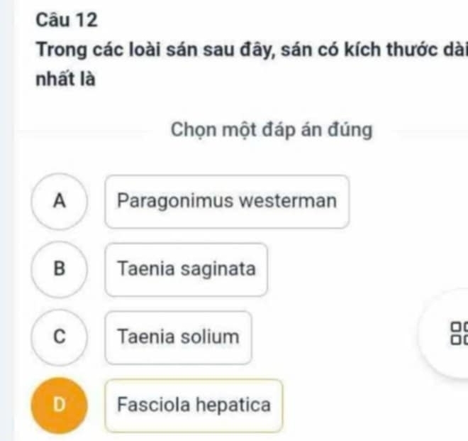 Trong các loài sán sau đây, sán có kích thước dài
nhất là
Chọn một đáp án đúng
A Paragonimus westerman
B Taenia saginata
C Taenia solium
:
D Fasciola hepatica