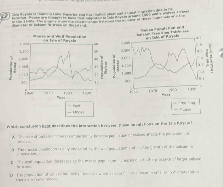 Isie Royale is found in Lake Superior and has limited plant and animal migration due bovs
location. Moose are thought to have first migrated to Isle Royale around 1900 while wolves arrived
in the 1940s. The graphs show the relationships between the number of these mammals and the
diameter of balsam fir trees on the island.
Moose Population and
ree Ring Thickness
Moose and Wolf Population



6



,()“ Tree Ring
— Wolf
— Moose —= Moose
Which conclusion best describes the interaction between these populations on the Isle Royale?
A The size of balsam fir trees is impacted by how the population of wolves affects the population of
moose.
B The moose population is only impacted by the wolf population and not the growth of the balsam fir
population.
C The wolf population decreases as the moose population increases due to the presence of larger balsam
fir trees.
D The population of wolves indirectly increases when balsam fir trees become smaller in diameter since
there are fewer moose.