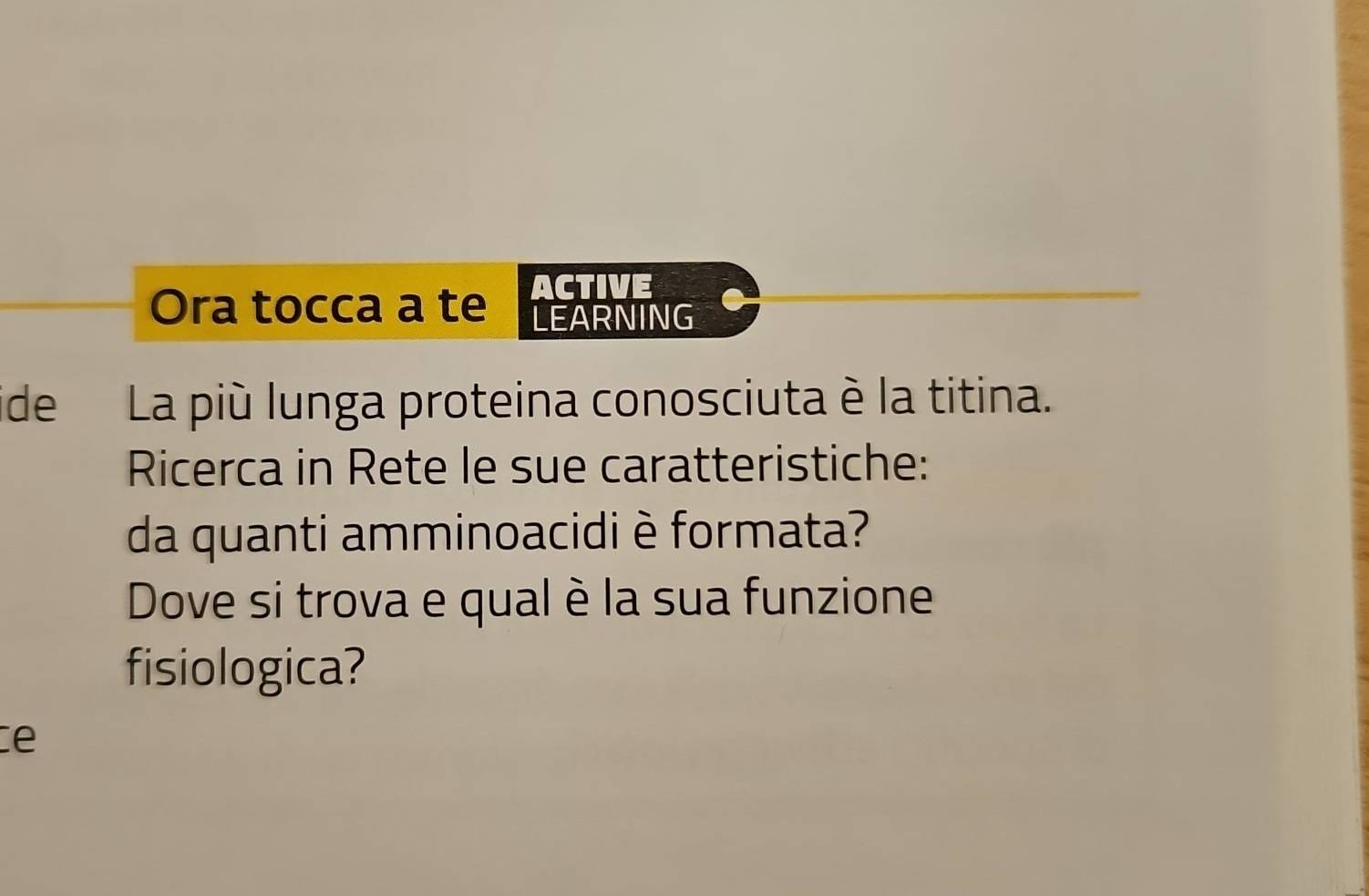 Ora tocca a te ACTIVE 
LEARNING 
ide La più lunga proteina conosciuta è la titina. 
Ricerca in Rete le sue caratteristiche: 
da quanti amminoacidi è formata? 
Dove si trova e qual è la sua funzione 
fisiologica? 
ce