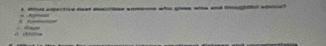 What adjective best describes comsone who gives wiss and thoughttal advice?
a Agmest
a Tometo
Lage
d. Whthe