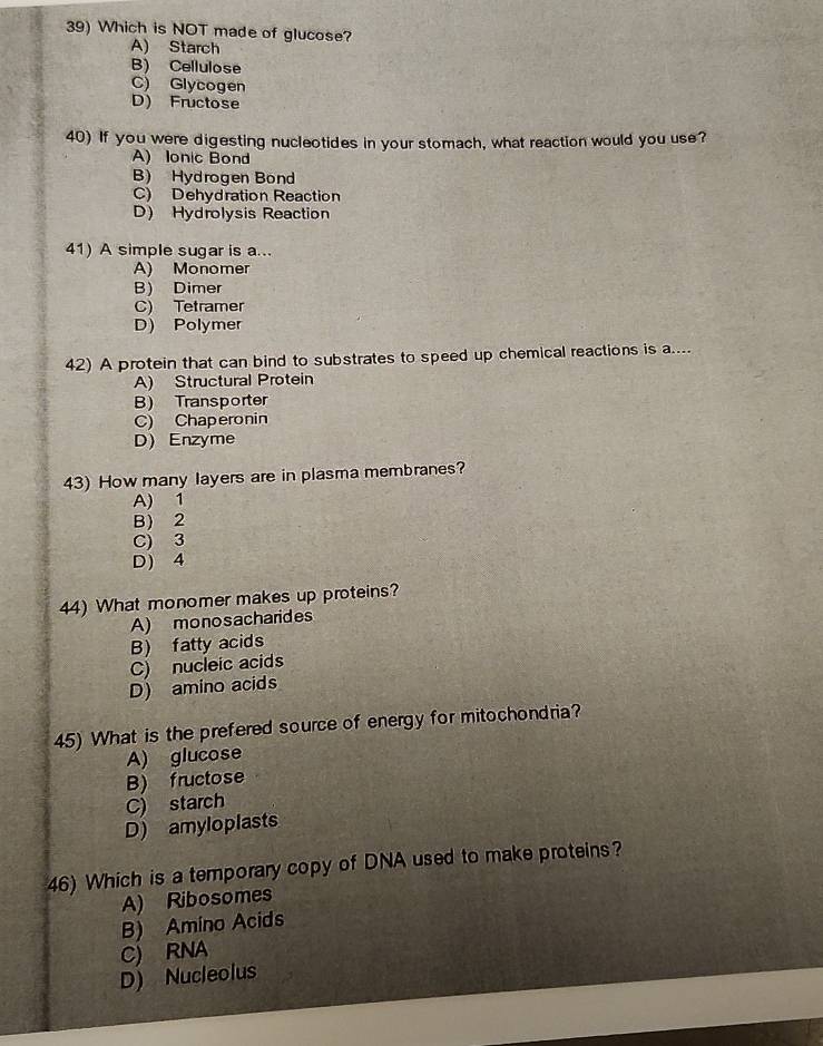 Which is NOT made of glucose?
A) Starch
B) Cellulose
C) Glycogen
D) Fructose
40) If you were digesting nucleotides in your stomach, what reaction would you use?
A) Ionic Bond
B) Hydrogen Bond
C) Dehydration Reaction
D) Hydrolysis Reaction
41) A simple sugar is a...
A) Monomer
B) Dimer
C) Tetramer
D) Polymer
42) A protein that can bind to substrates to speed up chemical reactions is a....
A) Structural Protein
B) Transporter
C) Chaperonin
D) Enzyme
43) How many layers are in plasma membranes?
A) 1
B) 2
C) 3
D) 4
44) What monomer makes up proteins?
A) monosacharides
B) fatty acids
C) nucleic acids
D) amino acids
45) What is the prefered source of energy for mitochondria?
A) glucose
B) fructose
C) starch
D) amyloplasts
46) Which is a temporary copy of DNA used to make proteins?
A) Ribosomes
B) Amíno Acids
C) RNA
D) Nucleolus