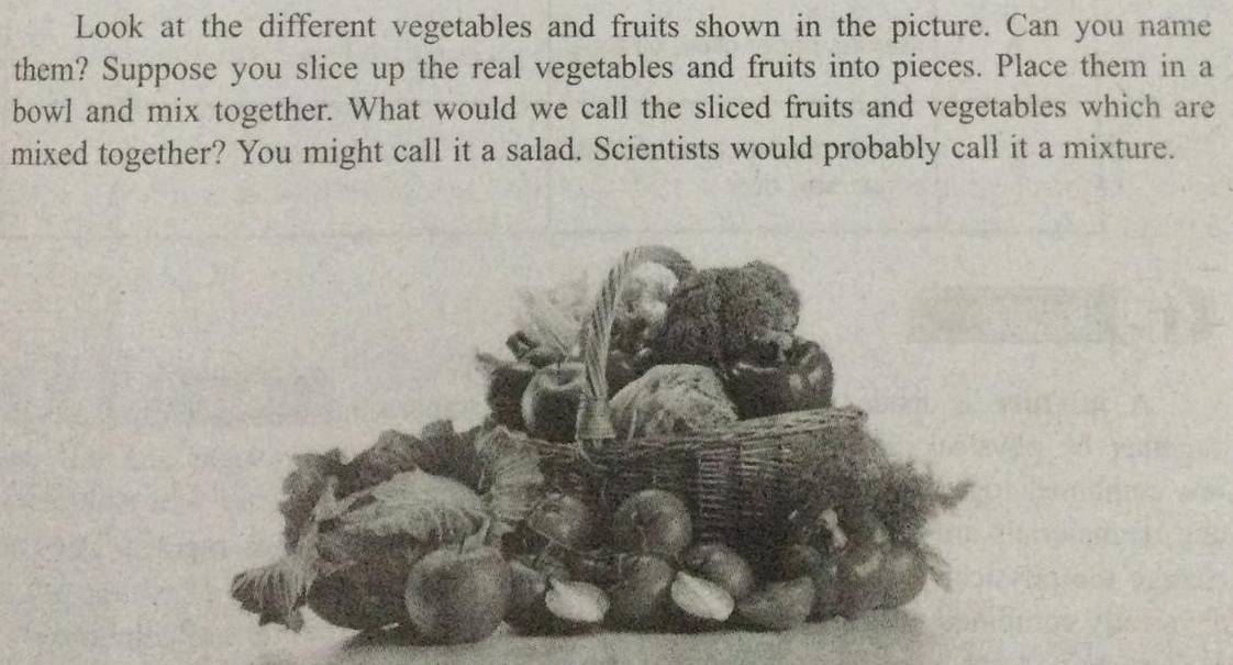 Look at the different vegetables and fruits shown in the picture. Can you name 
them? Suppose you slice up the real vegetables and fruits into pieces. Place them in a 
bowl and mix together. What would we call the sliced fruits and vegetables which are 
mixed together? You might call it a salad. Scientists would probably call it a mixture.