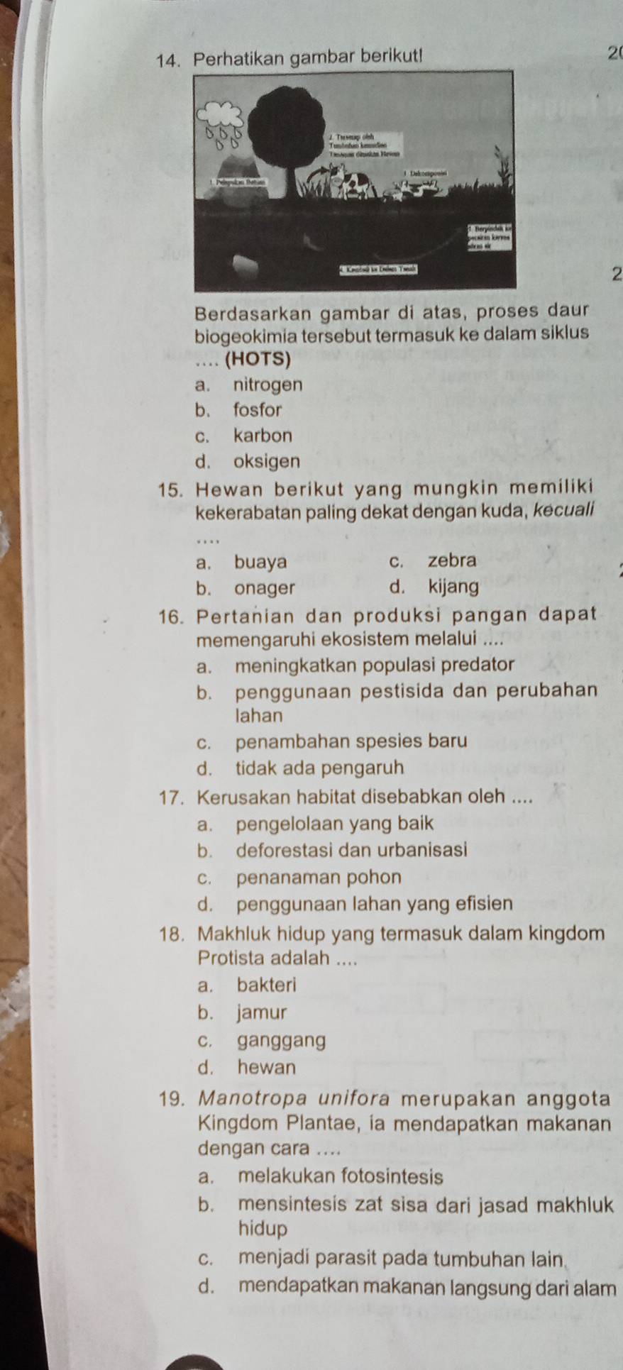 Perhatikan gambar berikut! 2
2
Berdasarkan gambar di atas, proses daur
biogeokimia tersebut termasuk ke dalam siklus
… (HOTS)
a. nitrogen
b. fosfor
c. karbon
d. oksigen
15. Hewan berikut yang mungkin memiliki
kekerabatan paling dekat dengan kuda, kecuali
. . .
a. buaya c. zebra
b. onager d. kijang
16. Pertanian dan produksi pangan dapat
memengaruhi ekosistem melalui ....
a. meningkatkan populasi predator
b. penggunaan pestisida dan perubahan
Iahan
c. penambahan spesies baru
d. tidak ada pengaruh
17. Kerusakan habitat disebabkan oleh ....
a. pengelolaan yang baik
b. deforestasi dan urbanisasi
c. penanaman pohon
d. penggunaan lahan yang efisien
18. Makhluk hidup yang termasuk dalam kingdom
Protista adalah ....
a. bakteri
b. jamur
c. ganggang
d. hewan
19. Manotropa unifora merupakan anggota
Kingdom Plantae, ia mendapatkan makanan
dengan cara ....
a. melakukan fotosintesis
b. mensintesis zat sisa dari jasad makhluk
hidup
c. menjadi parasit pada tumbuhan lain.
d. mendapatkan makanan langsung dari alam