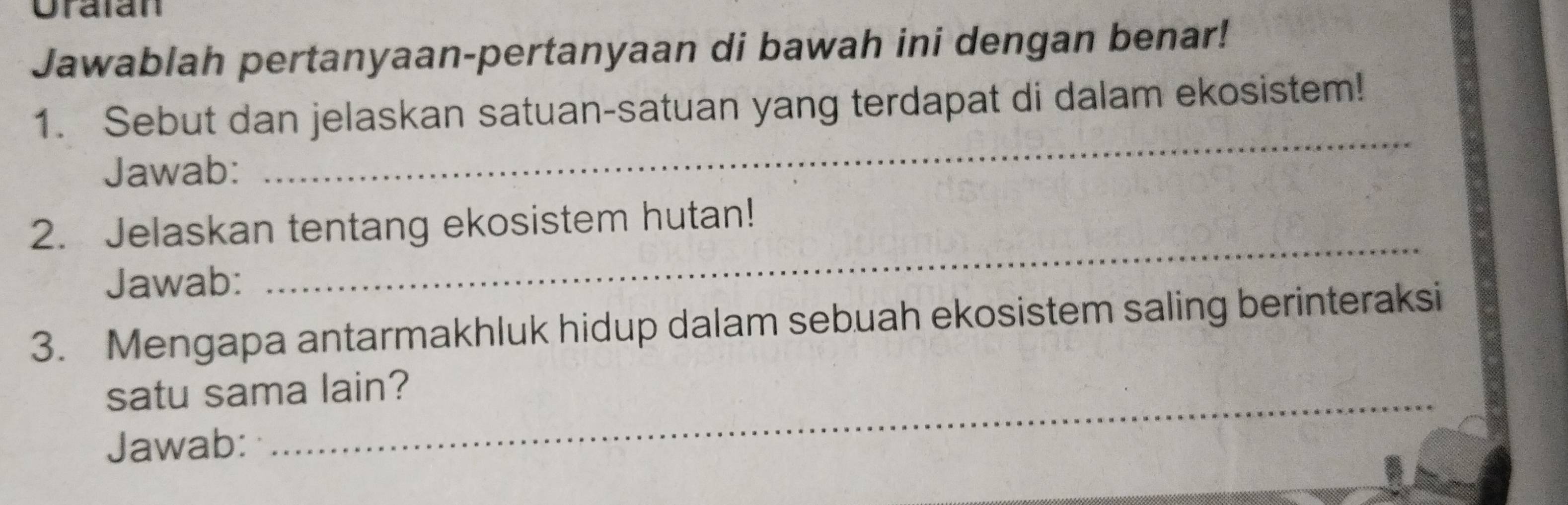 Oraian 
Jawablah pertanyaan-pertanyaan di bawah ini dengan benar! 
_ 
1. Sebut dan jelaskan satuan-satuan yang terdapat di dalam ekosistem! 
Jawab: 
_ 
2. Jelaskan tentang ekosistem hutan! 
Jawab: 
3. Mengapa antarmakhluk hidup dalam sebuah ekosistem saling berinteraksi 
satu sama lain? 
Jawab: