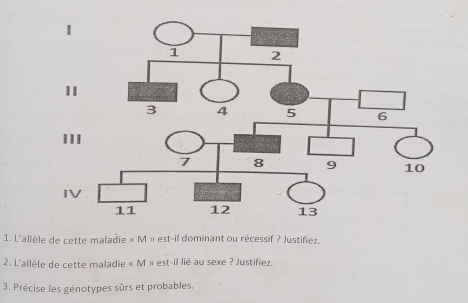 L'allèle de cette maladie « M » est-il dominant ou récessif ? Justifiez. 
2. L'allèle de cette maladie « M » est-il lié au sexe ? Justifiez. 
3. Précise les génotypes sûrs et probables.