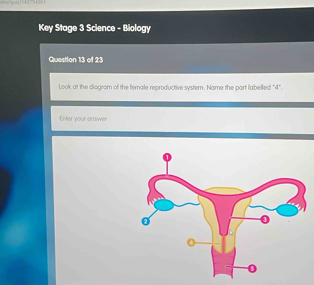 ake/quiz/14379491 
Key Stage 3 Science - Biology 
Question 13 of 23 
Look at the diagram of the female reproductive system. Name the part labelled "4". 
Enter your answer