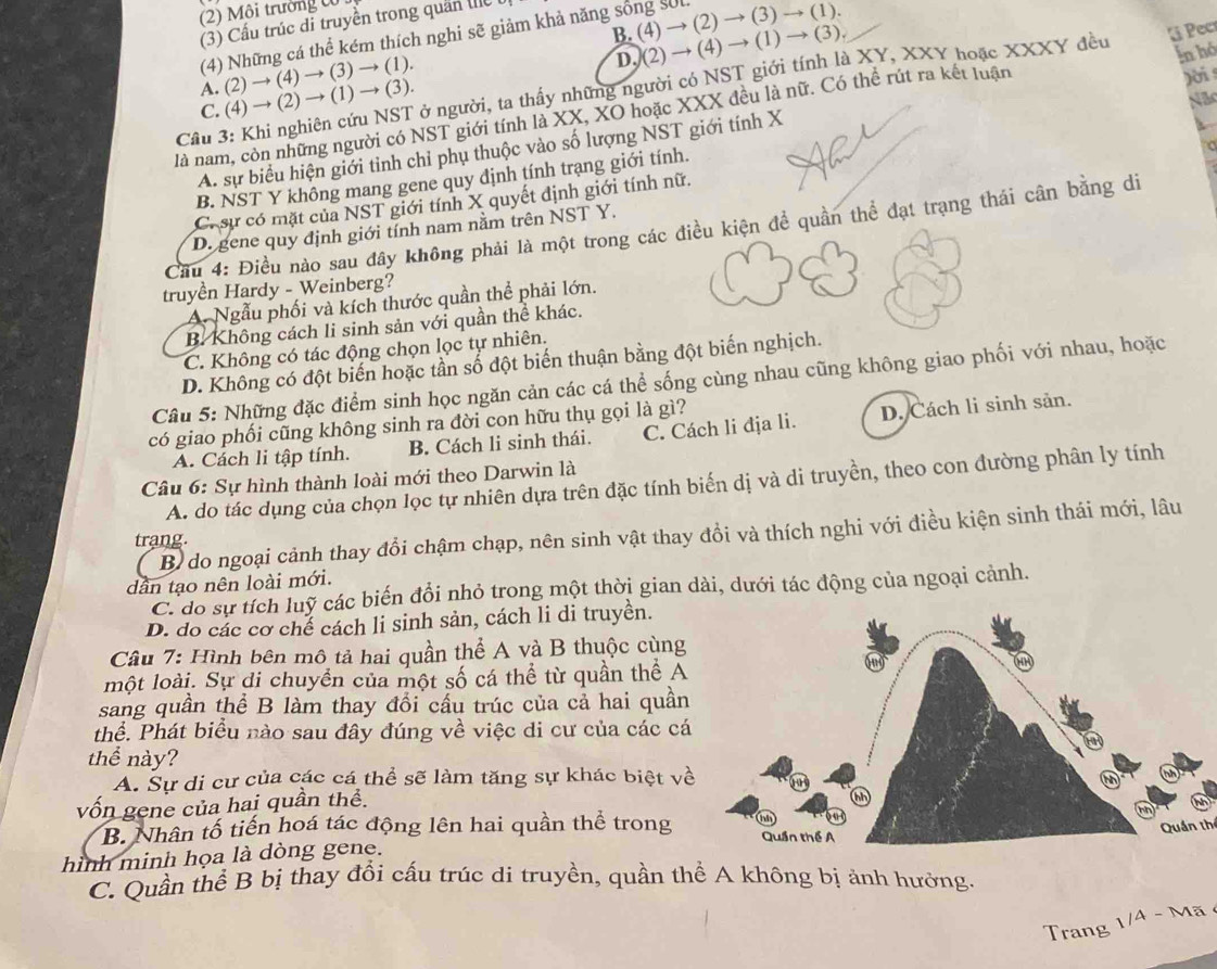 (2) Môi trường có
(3) Cấu trúc di truyền trong quân lhể
(4) Những cá thể kém thích nghi sẽ giảm khả năng sống sốc
A. (2) → (4) → (3) → (1). B. (4) → (2) → (3) → (1).
D,(2
inhó
C. (4) → (2) → (1) → (3). )- → (4) → (1) → (3).
§  Pecr
Cầu 3: Khi nghiên cứu NST ở người, ta thấy những người có NST giới tính là XY, XXY hoặc XXXY đều
Nã
là nam, còn những người có NST giới tính là XX, XO hoặc XXX đều là nữ. Có thể rút ra kết luận
A. sự biểu hiện giới tinh chỉ phụ thuộc vào số lượng NST giới tính X )ời
B. NST Y không mang gene quy định tính trạng giới tính.
C. sự có mặt của NST giới tính X quyết định giới tính nữ.
Cầu 4: Điều nào sau đây không phải là một trong các điều kiện để quần thể đạt trạng thái cân bằng di
D gene quy định giới tính nam nằm trên NST Y.
truyền Hardy - Weinberg?
A. Ngẫu phối và kích thước quần thể phải lớn.
B. Không cách li sinh sản với quần thể khác.
C. Không có tác động chọn lọc tự nhiên.
D. Không có đột biến hoặc tần số đột biến thuận bằng đột biến nghịch.
Câu 5: Những đặc điểm sinh học ngăn cản các cá thể sống cùng nhau cũng không giao phối với nhau, hoặc
có giao phối cũng không sinh ra đời con hữu thụ gọi là gì?
A. Cách li tập tính. B. Cách li sinh thái. C. Cách li địa li. D. Cách li sinh sản.
Câu 6: Sự hình thành loài mới theo Darwin là
A. do tác dụng của chọn lọc tự nhiên dựa trên đặc tính biến dị và di truyền, theo con đường phân ly tính
B) do ngoại cảnh thay đổi chậm chạp, nên sinh vật thay đổi và thích nghi với điều kiện sinh thái mới, lâu
trạng.
dân tạo nên loài mới.
C. do sự tích luỹ các biến đổi nhỏ trong một thời gian dài, dưới tác động của ngoại cảnh.
D. do các cơ chế cách li sinh sản, cách li di truyền.
Câu 7: Hình bên mô tả hai quần thể A và B thuộc cùng
một loài. Sự di chuyển của một số cá thể từ quần thể A
sang quần thể B làm thay đổi cấu trúc của cả hai quần
thể. Phát biểu nào sau đây đúng về việc di cư của các cá
thể này?
A. Sự di cư của các cá thể sẽ làm tăng sự khác biệt về
vốn gene của hai quần thể.
B. Nhân tố tiến hoá tác động lên hai quần thể trong 
Quần thể
hình minh họa là dòng gene.
C. Quần thể B bị thay đổi cấu trúc di truyền, quần thể A không bị ảnh hưởng.
Trang 1/4 - Mã