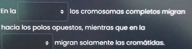 En la ÷ los cromosomas completos migran 
hacia los polos opuestos, mientras que en la 
migran solamente las cromátidas.