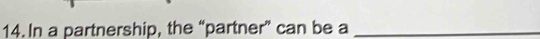 In a partnership, the “partner” can be a_