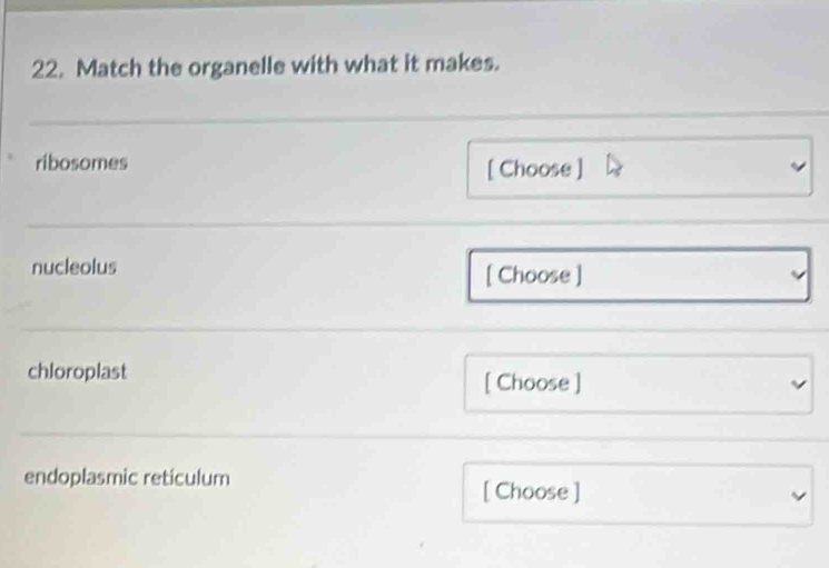 Match the organelle with what it makes. 
ribosomes [ Choose ] 
nucleolus [ Choose ] 
chloroplast [ Choose ] 
endoplasmic reticulum 
[ Choose ]