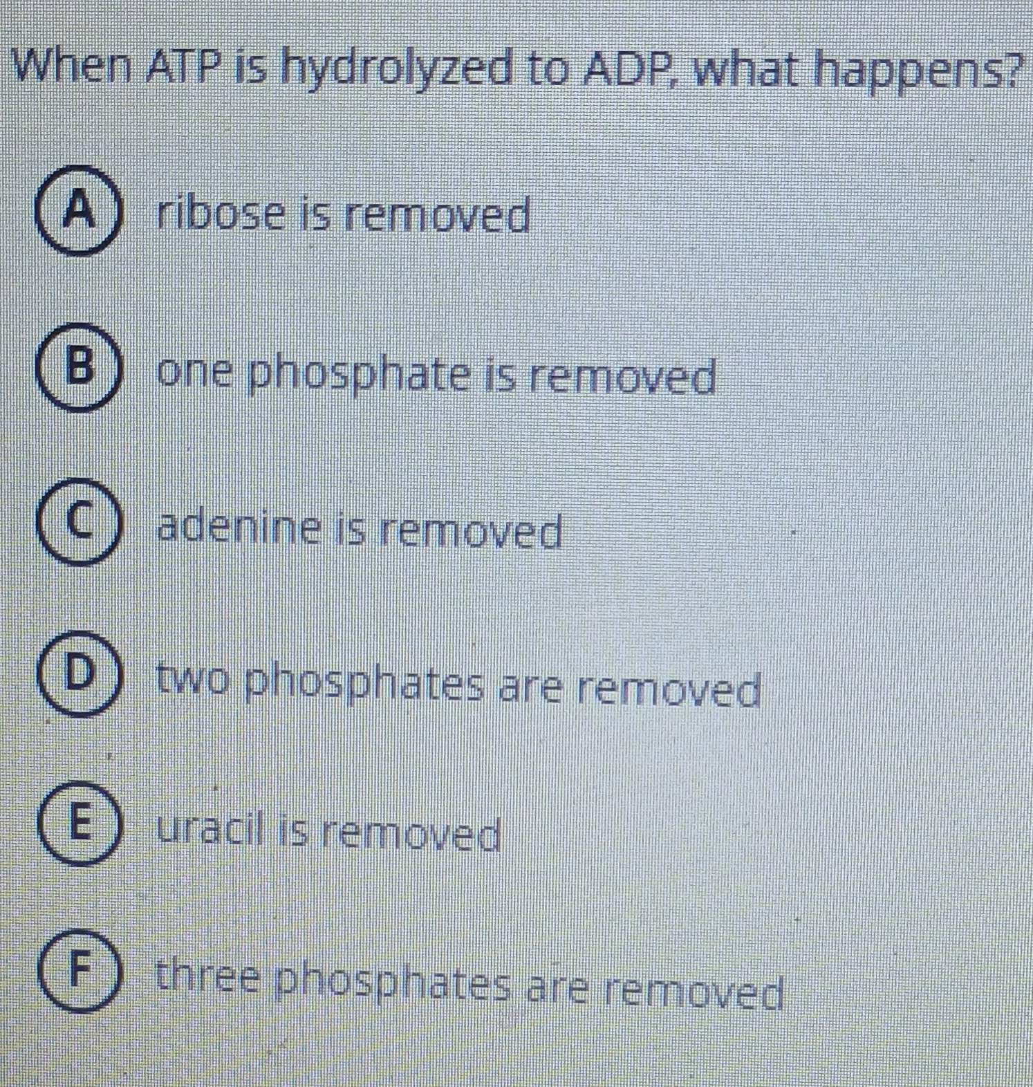 When ATP is hydrolyzed to ADP, what happens?
A ribose is removed
one phosphate is removed
adenine is removed
two phosphates are removed
uracil is removed
three phosphates are removed