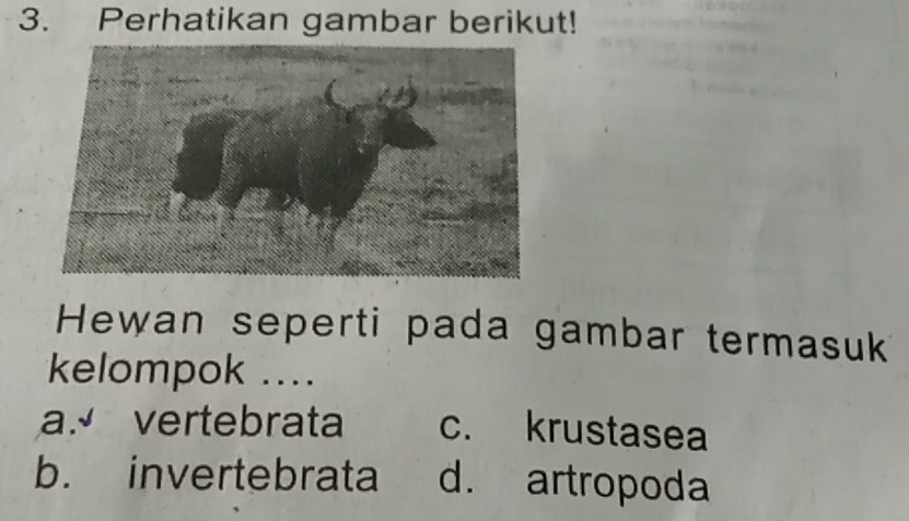 Perhatikan gambar berikut!
Hewan seperti pada gambar termasuk
kelompok ....
a.ª vertebrata c. krustasea
b. invertebrata d. artropoda