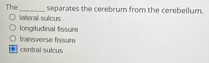 The _separates the cerebrum from the cerebellum.
lateral sulcus
longitudinal fissure
transverse fissure
central sulcus