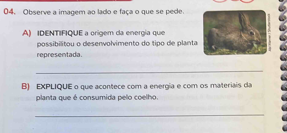 Observe a imagem ao lado e faça o que se pede. 
A) IDENTIFIQUE a origem da energia que 
possibilitou o desenvolvimento do tipo de planta 
representada. 
_ 
B) EXPLIQUE o que acontece com a energia e com os materiais da 
planta que é consumida pelo coelho. 
_