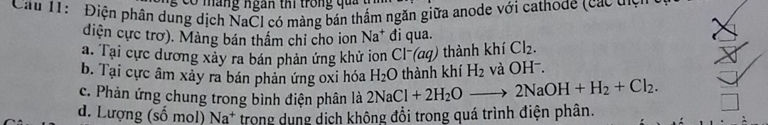 a n g ngan th i tron u 
Cầu 11: Điện phân dung dịch NaCI có màng bán thẩm ngăn giữa anode với cathode (các điểi
diện cực trơ). Màng bán thấm chỉ cho ion Na^+ đi qua.
a. Tại cực dương xảy ra bán phản ứng khử ion Cl^-(aq) thành khí Cl_2.
b. Tại cực âm xảy ra bán phản ứng oxi hóa H_2O thành khí H_2 và OH ⁻.
c. Phản ứng chung trong bình điện phân là 2NaCl+2H_2Oto 2NaOH+H_2+Cl_2.
d. Lượng (số mol) ** trong dụng dịch không đổi trong quá trình điện phân.
sqrt(a)