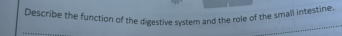 Describe the function of the digestive system and the role of the small intestine.