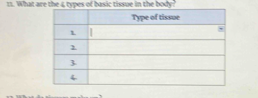 What are the 4 types of basic tissue in the body?