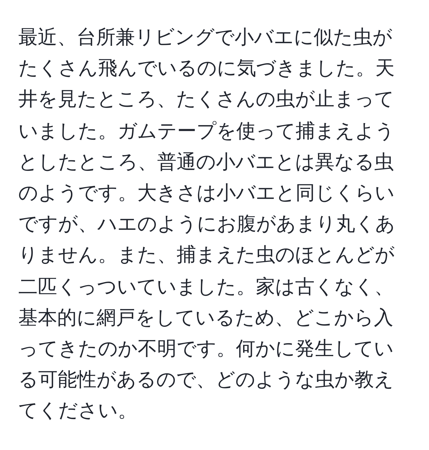 最近、台所兼リビングで小バエに似た虫がたくさん飛んでいるのに気づきました。天井を見たところ、たくさんの虫が止まっていました。ガムテープを使って捕まえようとしたところ、普通の小バエとは異なる虫のようです。大きさは小バエと同じくらいですが、ハエのようにお腹があまり丸くありません。また、捕まえた虫のほとんどが二匹くっついていました。家は古くなく、基本的に網戸をしているため、どこから入ってきたのか不明です。何かに発生している可能性があるので、どのような虫か教えてください。