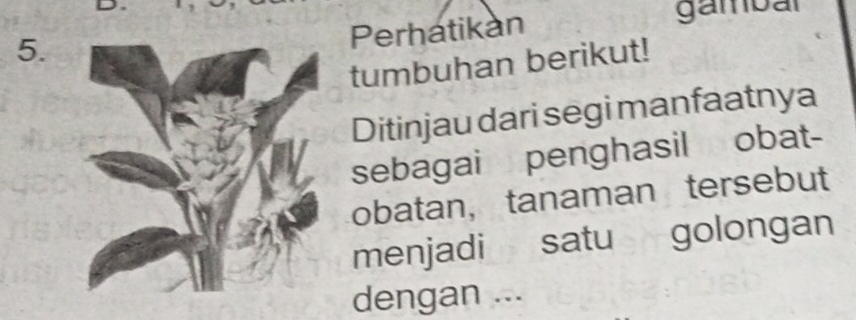 Perhatikan gambar 
tumbuhan berikut! 
Ditinjau dari segi manfaatnya 
sebagai penghasil obat- 
obatan,tanaman tersebut 
menjadi satu golongan 
dengan ...