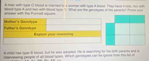 A man with type O blood is married to a woman with type A blood. They have 4 kids, two with 
blood type A and two with blood type ○. What are the genotypes of the parents? Prove your 
answer with the Punnett square. 
A child has type B blood, but he was adopted. He is searching for his birth parents and is 
interviewing people of all blood types. Which genotypes can he ignore from this list of