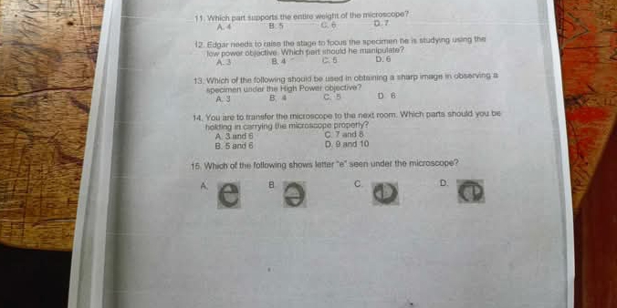 Which part supports the entire weight of the microscope? C. 6 0 7
A. 4 B 5
12. Edgar needs to raise the stage to focus the specimen he is studying using the
low power objective. Which part should he manipulate? D. 6
A. 3 B. 4 C. 5
13. Which of the following should be used in obtaining a sharp image in observing a
specimen under the High Power objective? B. 4 C. 5 D 6
A. 3
14. You are to transfer the microscope to the next room. Which parts should you be
holding in carrying the microssope properly? C. 7 and 8
A. 3 and 6
B. 5 and 6 D. 9 and 10
15. Which of the following shows letter "e" seen under the microscope?
A.
C. D.