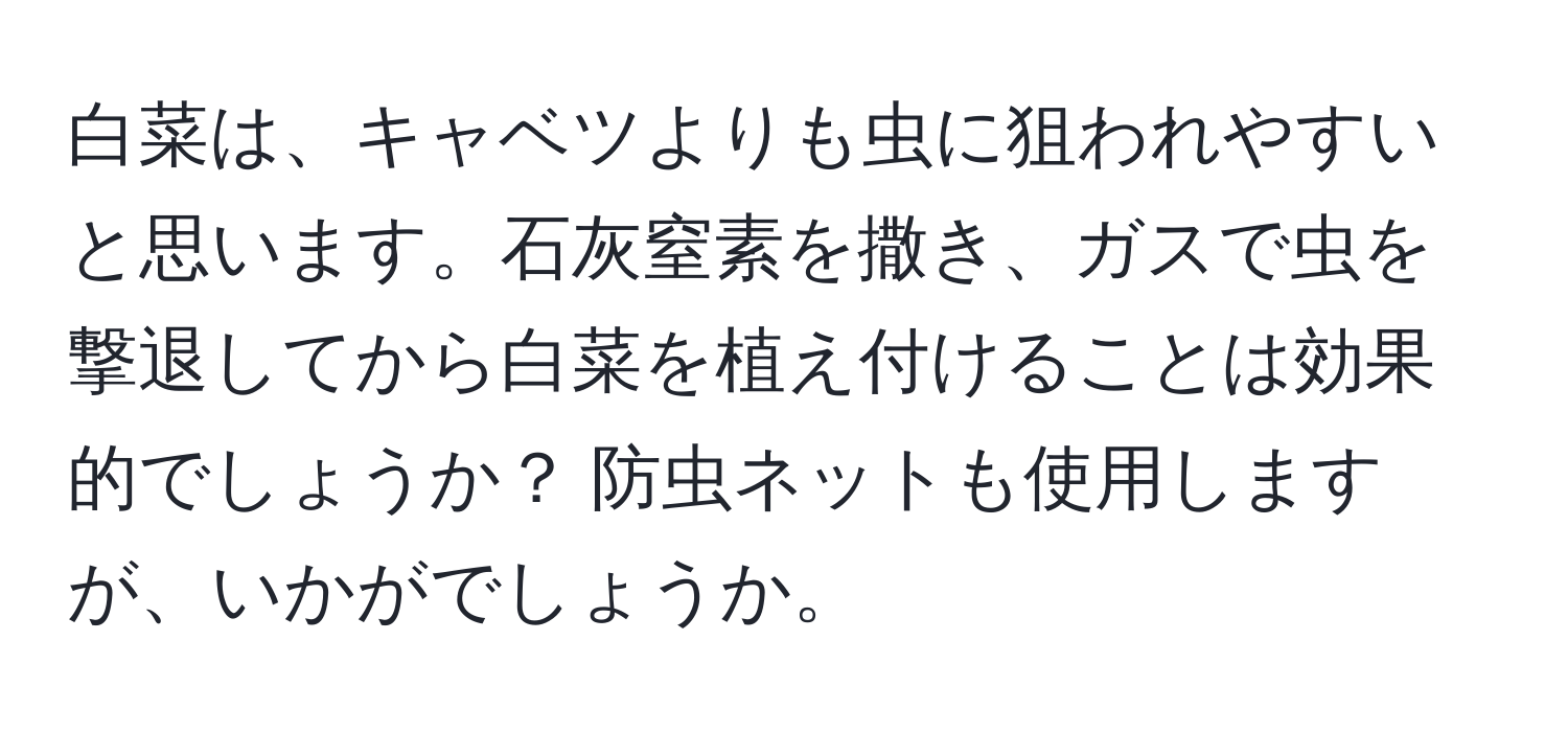 白菜は、キャベツよりも虫に狙われやすいと思います。石灰窒素を撒き、ガスで虫を撃退してから白菜を植え付けることは効果的でしょうか？ 防虫ネットも使用しますが、いかがでしょうか。