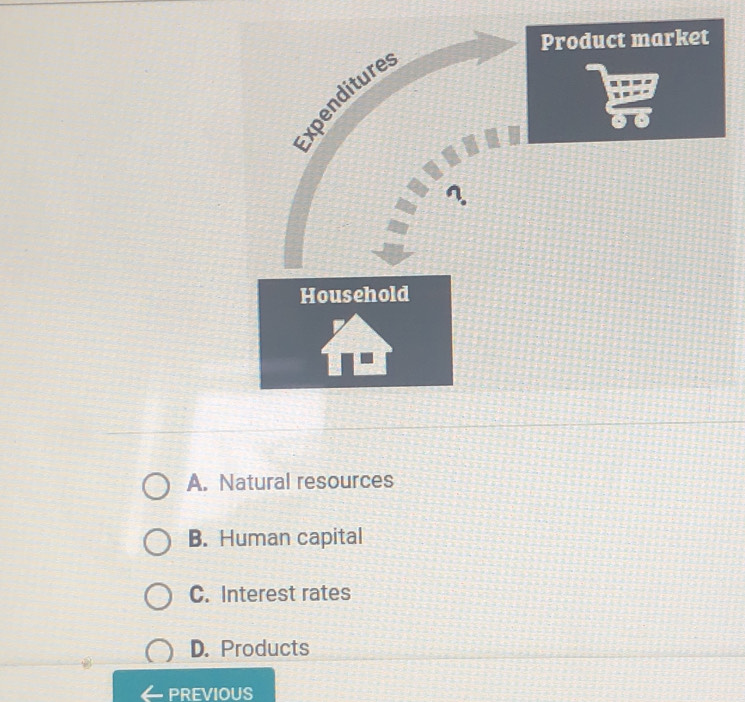 A. Natural resources
B. Human capital
C. Interest rates
D. Products
PREVIOUS