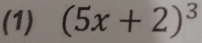 (1) (5x+2)^3