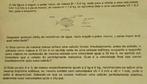 Na figura a seguir, o pebxe maior, de massa M=5.0kg , nada para a direita a uma velocidade
VA=1.0 m/s e o pe xe menor, de massa m=1,0kg , se apróxima dele a uma velocidade VB=8.0
m/s, para a esquercia.
Despreze qualquer efeito de resistência da água. Após engolir o peixe menor, o peixe maior terá
qual velocidade?
4) Dois carros de mesma massa sofrem uma colisão frontal. Imediatamente, antes da colisão, o
primeiro carro viajava a 72 km h no sentido norte de uma estrada retilínea, enquanto o segundo
carro viajava na contramão da mesma estrada com velocidade igual a 36 km h, no sentido sul.
Considere que a colisão foi perfeitamente inelástica. Qual é a velocidade final dos carros
mediatamente após essa colisão?
5) Dois corpos A e B, de massa respectivamente iguais a 2 kg e 6 kg, movimentam-se sobre uma
mesma trejetória retilínea, no mesmo sentido com velocidades vA=4m/s vB=1m/s
atrito é desprezível, Sabendo-se que os corpos realizam uma colisão perfeitamente elástica,  onde o
delermine suas velocidades após o choque.