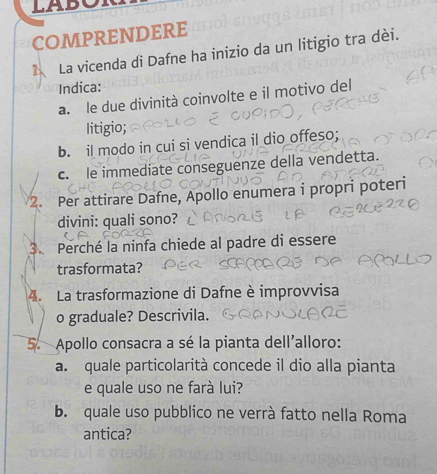 LABC 
COMPRENDERE 
1、 La vicenda di Dafne ha inizio da un litigio tra dèi. 
Indica: 
a. le due divinità coinvolte e il motivo del 
litigio; 
b. il modo in cui si vendica il dio offeso; 
c. le immediate conseguenze della vendetta. 
2. Per attirare Dafne, Apollo enumera i propri poteri 
divini: quali sono? 
3. Perché la ninfa chiede al padre di essere 
trasformata? 
4. La trasformazione di Dafne è improvvisa 
o graduale? Descrivila. 
5. Apollo consacra a sé la pianta dell'alloro: 
a. quale particolarità concede il dio alla pianta 
e quale uso ne farà lui? 
b. quale uso pubblico ne verrà fatto nella Roma 
antica?