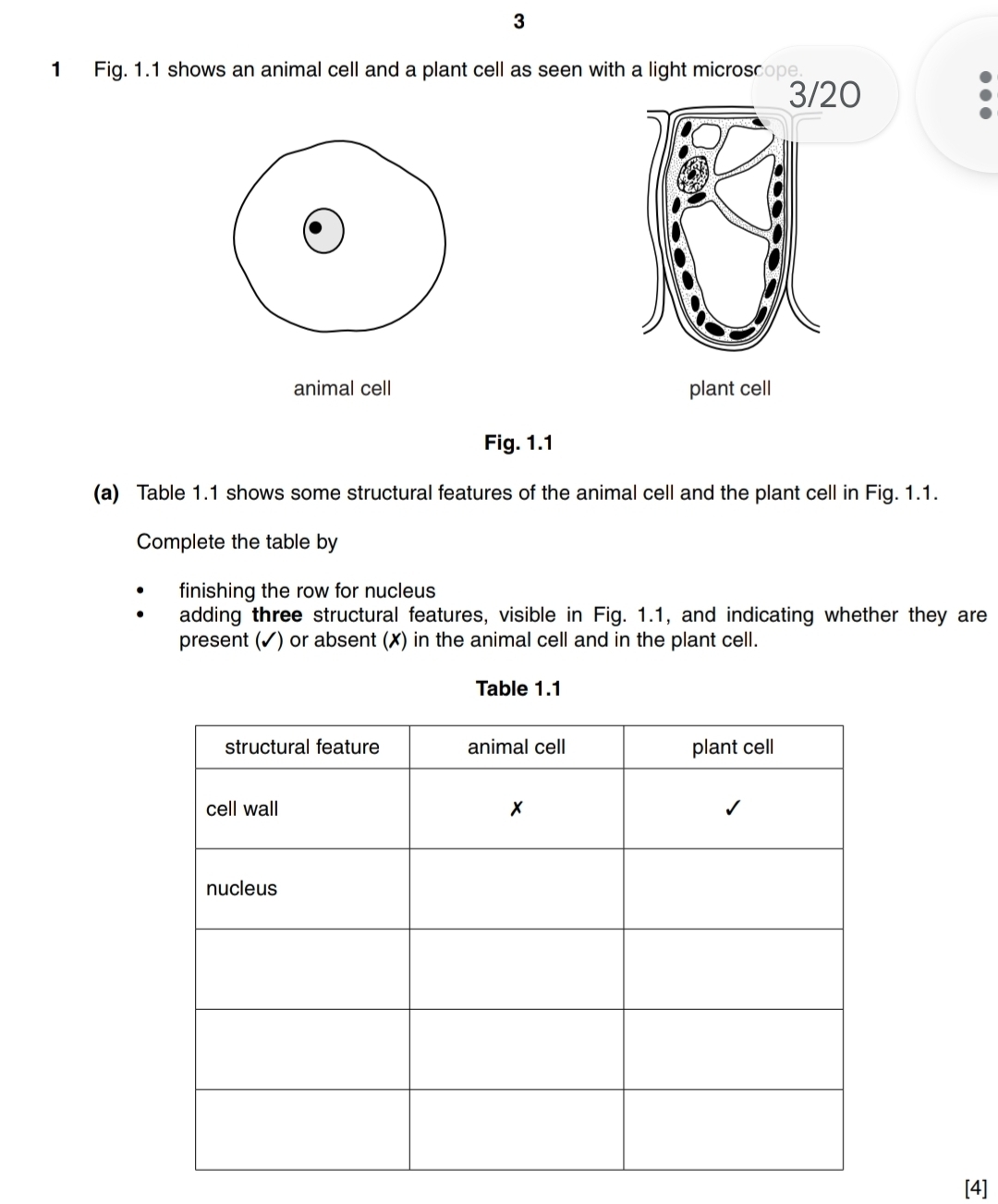 3 
1 Fig. 1.1 shows an animal cell and a plant cell as seen with a light microscope. 
3/20 
animal cell plant cell 
Fig. 1.1 
(a) Table 1.1 shows some structural features of the animal cell and the plant cell in Fig. 1.1. 
Complete the table by 
finishing the row for nucleus 
adding three structural features, visible in Fig. 1.1, and indicating whether they are 
present (✓) or absent (✗) in the animal cell and in the plant cell. 
Table 1.1 
[4]