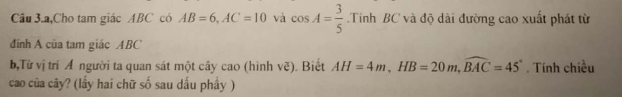 Câu 3.a,Cho tam giác ABC có AB=6, AC=10 và cos A= 3/5  Tính BC và độ dài đường cao xuất phát từ 
đỉnh A của tam giác ABC
b,Từ vị trí A người ta quan sát một cây cao (hình vẽ). Biết AH=4m, HB=20m, widehat BAC=45°. Tính chiều 
cao của cây? (lấy hai chữ số sau dấu phầy )