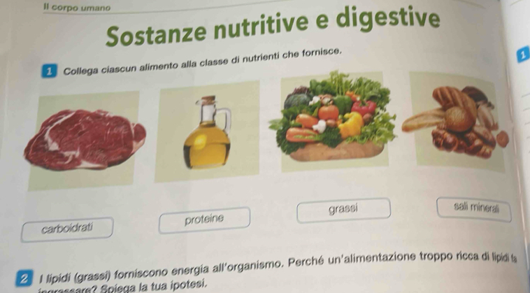 ll corpo umano
Sostanze nutritive e digestive
1 Collega ciascun alimento alla classe di nutrienti che fornisce.
1
carboidrati proteine grassi
sali minerali
2 1 lipidi (grassi) forniscono energia all'organismo. Perché un'alimentazione troppo ricca di lipidi a
assare? Spíega la tua ipotesi.