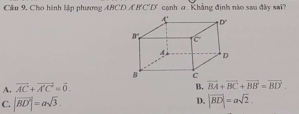 Cho hình lập phương ABCD. A'B'C'D' cạnh a. Khẳng định nào sau đây sai?
A'
D'
B'_0
C'
A
D
B
C
A. vector AC+vector A'C'=vector 0. 
B. vector BA+vector BC+vector BB'=vector BD'.
C. |vector BD'|=asqrt(3).
D. |vector BD|=asqrt(2).