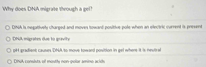 Why does DNA migrate through a gel?
DNA is negatively charged and moves toward positive pole when an electric current is present
DNA migrates due to gravity
pH gradient causes DNA to move toward position in gel where it is neutral
DNA consists of mostly non-polar amino acids