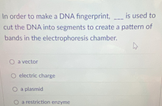 In order to make a DNA fingerprint, _is used to
cut the DNA into segments to create a pattern of
bands in the electrophoresis chamber.
a vector
electric charge
a plasmid
a restriction enzyme