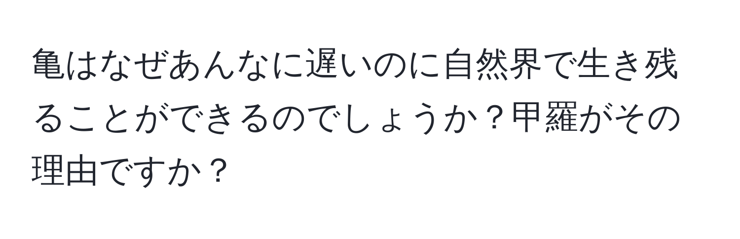 亀はなぜあんなに遅いのに自然界で生き残ることができるのでしょうか？甲羅がその理由ですか？