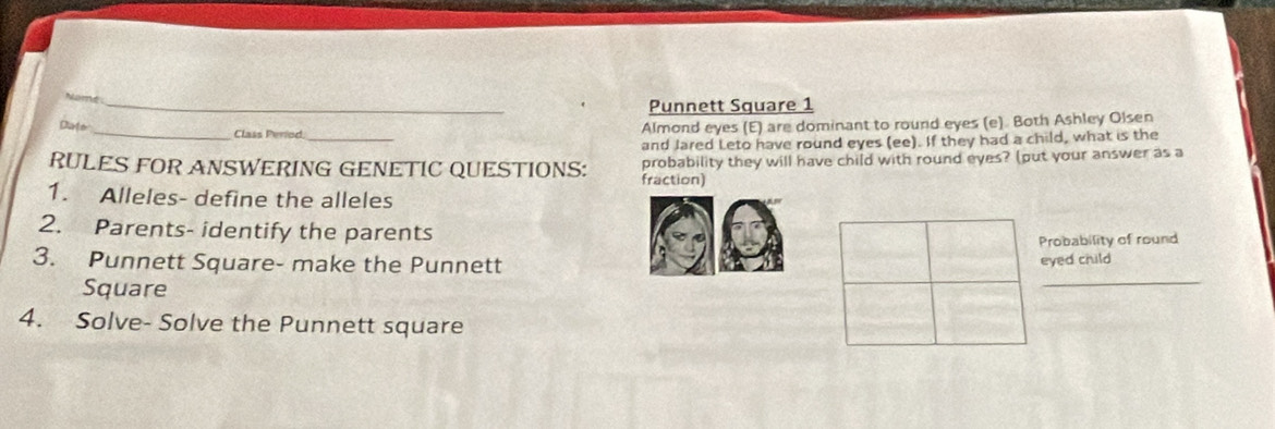 Punnett Square 1 
Dato_ Class Period_ 
Almond eyes (E) are dominant to round eyes (e). Both Ashley Olsen 
and Jared Leto have round eyes (ee). If they had a child, what is the 
RULES FOR ANSWERING GENETIC QUESTIONS: fraction) probability they will have child with round eyes? (put your answer as a 
1. Alleles- define the alleles 
2. Parents- identify the parents 
Probability of round 
_ 
3. Punnett Square- make the Punnett eyed child 
Square 
4. Solve- Solve the Punnett square