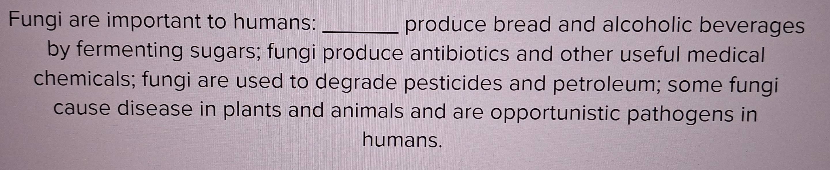 Fungi are important to humans: _produce bread and alcoholic beverages 
by fermenting sugars; fungi produce antibiotics and other useful medical 
chemicals; fungi are used to degrade pesticides and petroleum; some fungi 
cause disease in plants and animals and are opportunistic pathogens in 
humans.