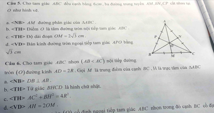 Cho tam giác ABC đều cạnh bằng 6cm, ba đường trung tuyến AM, BN, CP cắt nhau tại
O như hình vẽ,
a. ∠ NB> AM đường phân giác của △ ABC.
b. Điểm O là tâm đường tròn nội tiếp tam giác ABC.
c. ∠ TH> Độ dài đoạn OM=2sqrt(3)cm.
d. ∠ VD> Bán kính đường tròn ngoại tiếp tam giác APO bằng
sqrt(3)cm
Câu 6. Cho tam giác ABC nhọn (AB nội tiếp đường
tròn (O) đường kính AD=2R. Gọi M là trung điểm của cạnh BC , H là trực tâm của △ ABC
a. DB⊥ AB.
b. ∠ TH>Tir giác BHCD là hình chữ nhật.
c. AC^2+BH^2=4R^2.
d. AH=2OM. 
O) cổ định ngoại tiếp tam giác ABC nhọn trong đó cạnh BC cố địi