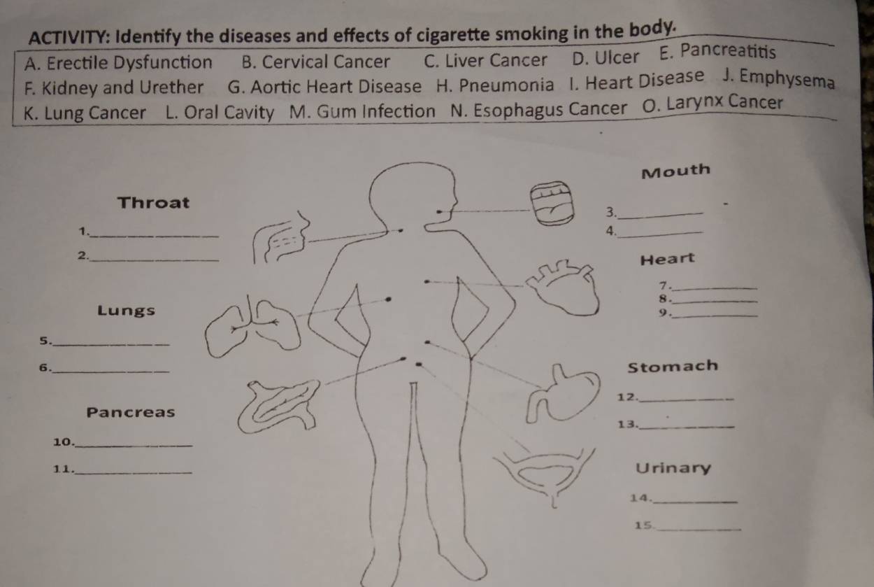 ACTIVITY: Identify the diseases and effects of cigarette smoking in the body.
A. Erectile Dysfunction B. Cervical Cancer C. Liver Cancer D. Ulcer E. Pancreatitis
F. Kidney and Urether G. Aortic Heart Disease H. Pneumonia I. Heart Disease J. Emphysema
K. Lung Cancer L. Oral Cavity M. Gum Infection N. Esophagus Cancer O. Larynx Cancer
Mouth
Throat
3._
1._
_
4._
2._
Heart
7._
_8
Lungs 9._
5._
6._ Stomach
12._
Pancreas
13._
10._
11._ Urinary
14._
15._