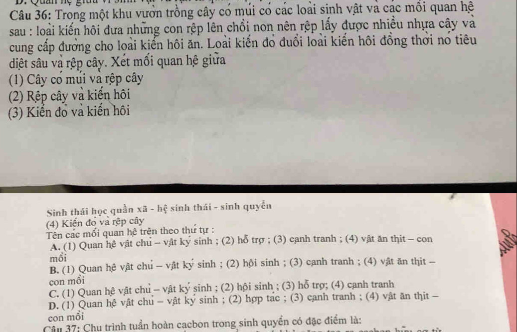 Quan mẹ
Câu 36: Trong một khu vưởn trồng cây có múi có các loài sinh vật và các mối quan hệ
sau : loài kiến hôi đưa những con rệp lên chồi non nên rệp lấy được nhiều nhựa cây và
cung cấp đưởng cho loài kiến hôi ăn. Loài kiến đỏ đuổi loài kiến hôi đồng thời no tiêu
diệt sâu và rệp cây. Xét mối quan hệ giữa
(1) Cây có múi và rệp cây
(2) Rệp cây và kiến hội
(3) Kiến đổ và kiến hôi
Sinh thái học quần xã - hệ sinh thái - sinh quyển
(4) Kiến đổ và rệp cây
Tên các mối quan hệ trên theo thứ tự :
A. (1) Quan hệ vật chu - vật ký sinh ; (2) hỗ trợ ; (3) canh tranh ; (4) vật ăn thit - con
mồi
B. (1) Quan hệ vật chu - vật ký sinh ; (2) hội sinh ; (3) canh tranh ; (4) vật ăn thit -
con mồi
C. (1) Quan hệ vật chủ - vật ký sinh ; (2) hội sinh ; (3) hỗ trợ; (4) canh tranh
D. (1) Quan hệ vật chu - vật ký sinh ; (2) hợp tác ; (3) canh tranh ; (4) vật ăn thit -
con mỗi
Câu 37: Chu trình tuần hoàn cạcbon trong sinh quyền có đặc điểm là: